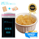 Kefir de Água Kit Completo Com Tampa Voal + Manual
