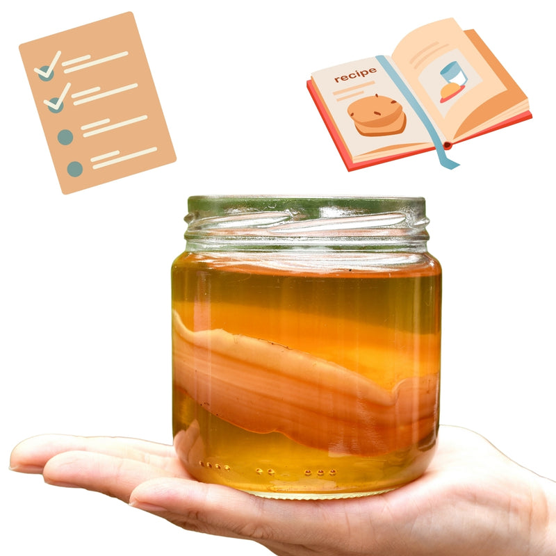 🚀 MEGA KIT SAÚDE &amp; VIDA LONGA – KOMBUCHA + KEFIR DE LEITE + KEFIR DE ÁGUA + IOGURTE INFINITO + LIVRO DE RECEITAS! 🚀 (Cópia)