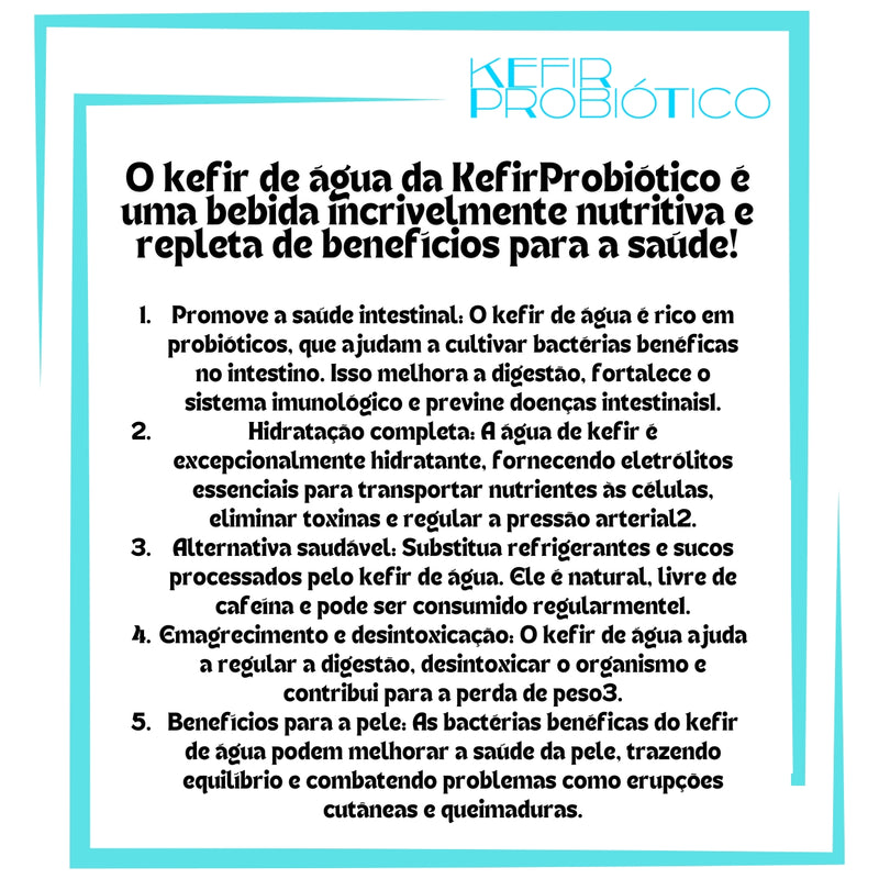 Kefir de Água Kit Completo Com Tampa Voal + Manual